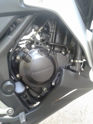 ขายลูกเดียวCBR250R ABSหัวฉีด ปี2554 ทะเบียนสวยๆ345 สภาพแจ๋วๆ เอกสารครบ ขายลูกเดียวCBR250R ABSหัวฉีด ปี2554 ทะเบียนสวยๆ345 สภาพแจ๋วๆ เอกสารครบ