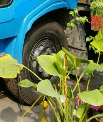 ขายแล้วครับ 235,000บ หกล้อ ฮีโน่ KM 779 WO4D117แรง แอร์เย็นๆ มีตู้ผ้าใบหลังคาเอนกประสงค์ กะบะยาว 5.50ม สภาพสวยเดิมพร้อมใช้ ทะเบียนพร้อมโอน