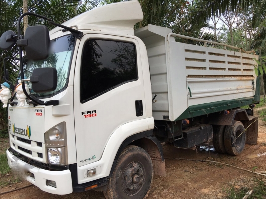 รถอีซูซุ 6 ล้อดั้ม FRR 190 แรงม้า  ปี 55.  ( รถวิ่ง 14x,xxx กม. )     สนใจติดต่อ  081 - 6079515