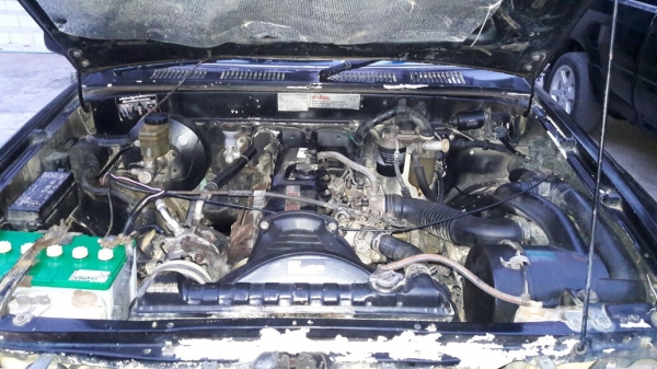 ไมตี้ปี 94 ราคาเบา ๆ เข้าไร่เข้าสวน ไมตี้ปี 94 ราคาเบา ๆ เข้าไร่เข้าสวน