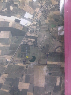 ขายที่ดิน ต.กรอกสมบูรณ์ อ.ศรีมหาโพธิ์ จ.ปราจีนบุรี ขายที่ดิน ต.กรอกสมบูรณ์ อ.ศรีมหาโพธิ์ จ.ปราจีนบุรี