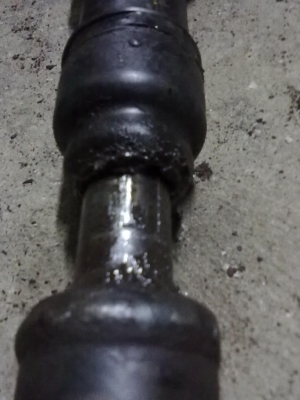 ยอยเพลากลางนิสสันซาฟารี