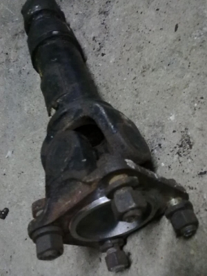 ยอยเพลากลางนิสสันซาฟารี