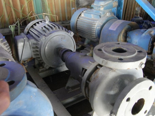 ขายปั้มน้ำหอยโข่ง แบบแยกมอเตอร์กับใบพัด สภาพสวย พร้อมใช้งานรับประกันคุณภาพ มีหลายตัวครับ ขายปั้มน้ำหอยโข่ง แบบแยกมอเตอร์กับใบพัด สภาพสวย พร้อมใช้งานรับประกันคุณภาพ มีหลายตัวครับ