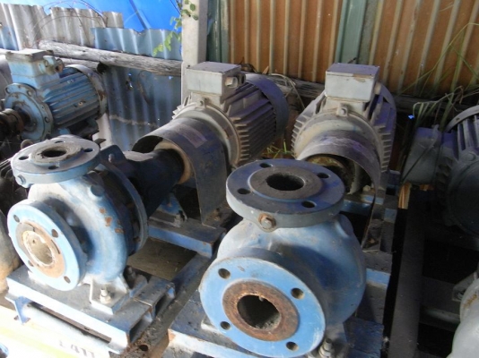 ขายปั้มน้ำหอยโข่ง แบบแยกมอเตอร์กับใบพัด สภาพสวย พร้อมใช้งานรับประกันคุณภาพ มีหลายตัวครับ ขายปั้มน้ำหอยโข่ง แบบแยกมอเตอร์กับใบพัด สภาพสวย พร้อมใช้งานรับประกันคุณภาพ มีหลายตัวครับ