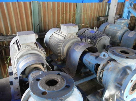 ขายปั้มน้ำหอยโข่ง แบบแยกมอเตอร์กับใบพัด สภาพสวย พร้อมใช้งานรับประกันคุณภาพ มีหลายตัวครับ ขายปั้มน้ำหอยโข่ง แบบแยกมอเตอร์กับใบพัด สภาพสวย พร้อมใช้งานรับประกันคุณภาพ มีหลายตัวครับ