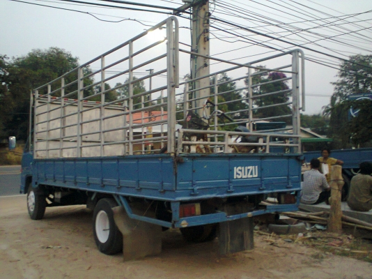 115 รถห้าง สภาพพร้อมใช้