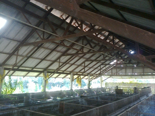 ขายโครงสร้าง  ไม้เต็ง สภาพสวย ราคาถูก  ครับ  081-1755103