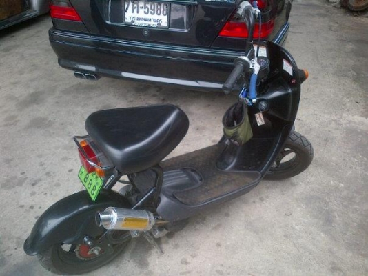 ขาย Suzuki Choi Nori กระต่ายน้อย