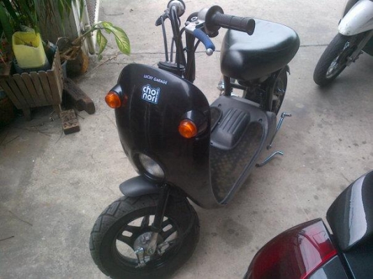 ขาย Suzuki Choi Nori กระต่ายน้อย