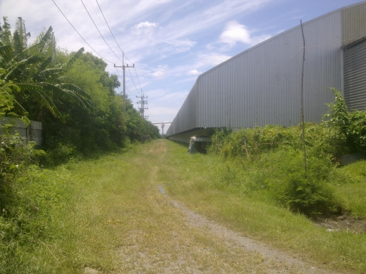 ขายโรงงานพร้อมที่ดิน 24 ไร่ อ.พัฒนานิคม จ.ลพบุรี