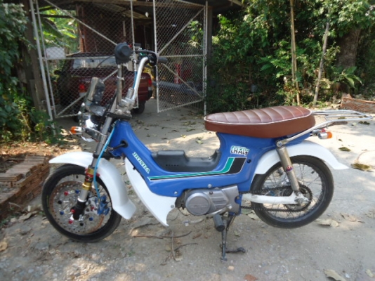 ขาย HONDA CHALY สภาพดีและสวยๆ เปลี่ยนเครื่องดรีม ตูดมนครับ วิ่งทางไกลได้ครับ ราคา 18,000.-เชียงใหม่ครับ