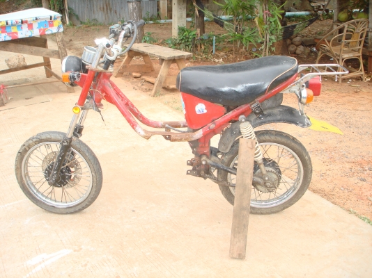 ขายโคลงชิ้ปปี้