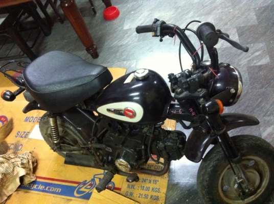 ขาย monkeyแท้ญี่ปุ่น 50cc12โวล์