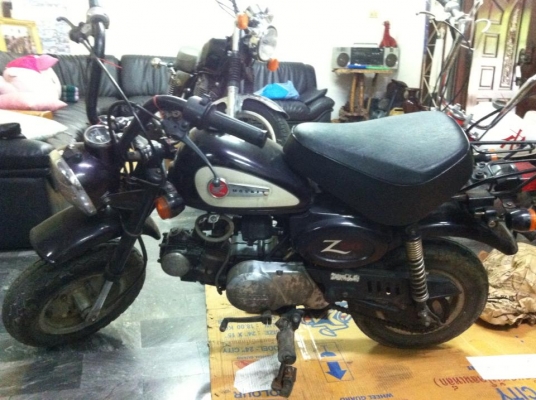 ขาย monkeyแท้ญี่ปุ่น 50cc12โวล์