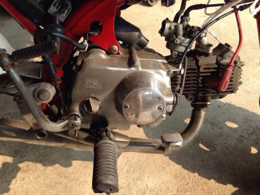 ขาย monkeyแท้ญี่ปุ่น 50cc12โวล์ แต่งเต็ม