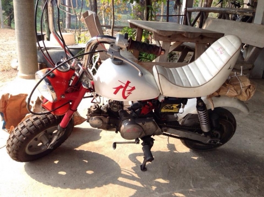 ขาย monkeyแท้ญี่ปุ่น 50cc12โวล์ แต่งเต็ม