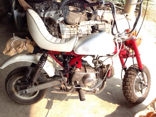 ขาย monkeyแท้ญี่ปุ่น 50cc12โวล์ แต่งเต็ม