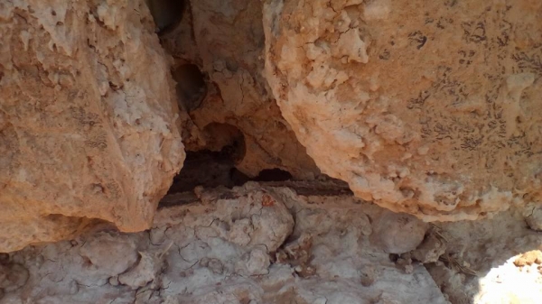 **ขายแล้วครับขอบคุณ ลูกค้า และ ขอบคุณ Truck2hand ครับ **ขายแล้วครับขอบคุณ ลูกค้า และ ขอบคุณ Truck2hand ครับ