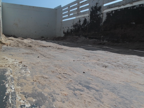 ขายแล้ว