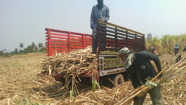 ขายนะครับซื้อไปใช้งานได้เลยเช็คแล้วถ่ายน้ำมันเครื่องด้วยพร้อมใช้เลย/บริการส่งให้ฟรีถึงบ้านเลยครับ