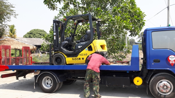 ขายด่วนรถยกKOMATSU FG18-20รุ่นใหม่ตัวล่าสูดเกียรออโต้ยางตัน4เส้นยกได้2ตันเสาสูง3เมตรรถนอกเพิ่งเข้ามายังไม่เคยใช้งานในเมืองไทยเลย ขายด่วนรถยกKOMATSU FG18-20รุ่นใหม่ตัวล่าสูดเกียรออโต้ยางตัน4เส้นยกได้2ตันเสาสูง3เมตรรถนอกเพิ่งเข้ามายังไม่เคยใช้งานในเมืองไทยเลย