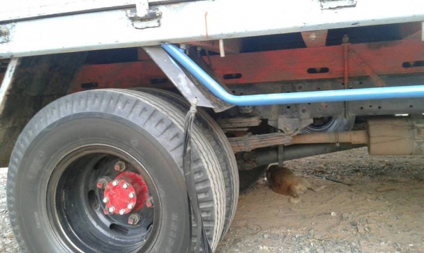 ขายรถ6ล้อบรรทุก NPR120 ปี43 แชชซีสวยเครื่องดี เอกสารเล่มทะเบียนครบ พร้อมวิ่งงาน