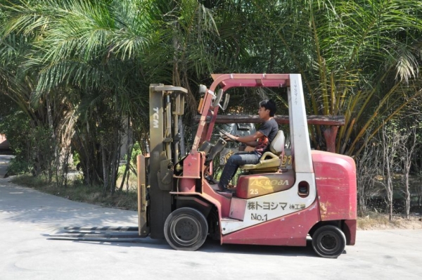 ขายFORKLIFT TCM FD25 ดีเซล (2.5ตัน) เสา3เมตร สวยเดิมจากญี่ปุ่น ยังไม่เคยใช้ในไทย 185,000เท่านั้น!! ขายFORKLIFT TCM FD25 ดีเซล (2.5ตัน) เสา3เมตร สวยเดิมจากญี่ปุ่น ยังไม่เคยใช้ในไทย 185,000เท่านั้น!!