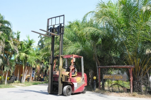 ขายFORKLIFT TCM FD25 ดีเซล (2.5ตัน) เสา3เมตร สวยเดิมจากญี่ปุ่น ยังไม่เคยใช้ในไทย 185,000เท่านั้น!! ขายFORKLIFT TCM FD25 ดีเซล (2.5ตัน) เสา3เมตร สวยเดิมจากญี่ปุ่น ยังไม่เคยใช้ในไทย 185,000เท่านั้น!!