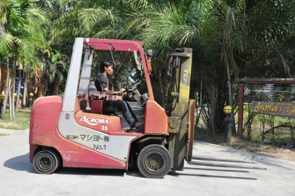 ขายFORKLIFT TCM FD25 ดีเซล (2.5ตัน) เสา3เมตร สวยเดิมจากญี่ปุ่น ยังไม่เคยใช้ในไทย 185,000เท่านั้น!! ขายFORKLIFT TCM FD25 ดีเซล (2.5ตัน) เสา3เมตร สวยเดิมจากญี่ปุ่น ยังไม่เคยใช้ในไทย 185,000เท่านั้น!!