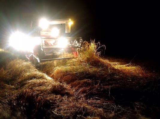 รถเกี่ยว DC68G 2คัน รถเกี่ยว DC68G 2คัน