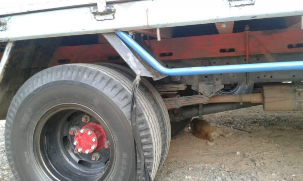 ขายรถ6ล้อ NPR120แรง ฝาขาว ปี43 รถสวยเครื่องดี ยาว4.30เมตร เอกสารพร้อมโอน สนใจโทร 090-8588220คุณนะ 093-3258446คุณบิว หรือเข้าดูสินค้าอื่นๆได้ที่ www.truck.in.th/498 หรือเพจFacebook ณรงค์ ซื้อขายรถมือสอง (เว็บไซต์ส่วนตัว) หรือFacebook คุณนะ รถบรรทุก