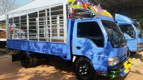 ISUZU NPR135 แรง เกียร์ใหญ่ 6 เกียร์ เครื่องดี ขับดี ครัทซีสวย รถพร้อมใช้งาน