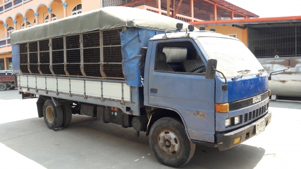 Isuzu Npr59P ทะเบียนพร้อมโอน