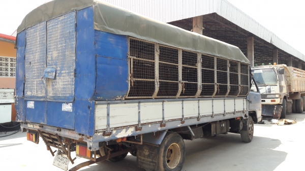 (ราคาพร้อมทำสีใหม่) Isuzu Npr59P เครื่อง 4BD1-115 แรงม้า พวงมาลัยพาวเวอร์ มีหลังคา ทะเบียนพร้อมโอน (ราคาพร้อมทำสีใหม่) Isuzu Npr59P เครื่อง 4BD1-115 แรงม้า พวงมาลัยพาวเวอร์ มีหลังคา ทะเบียนพร้อมโอน