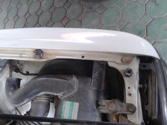 ขายไมตี้ x ช่วงสั้น 4 ขอ ขายไมตี้ x ช่วงสั้น 4 ขอ