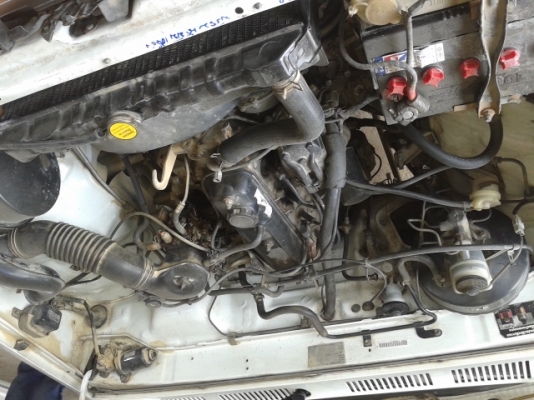 ขายไมตี้ x ช่วงสั้น 4 ขอ ขายไมตี้ x ช่วงสั้น 4 ขอ