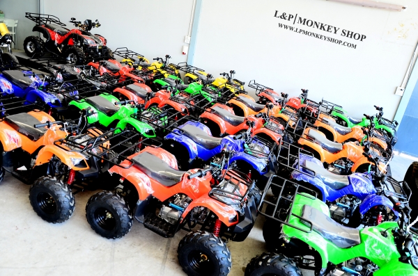 ราคาถูก 29000 บาท แต่มีสิ่งพิเศษมากมา ATV MINI รุ่นใหม่ล่าสุด 110cc มีสวิทไฟบอกเกียร์ สุดพิเศษ โปรโมชั่นนี้พิเศษจริงๆ กับ ปี2559