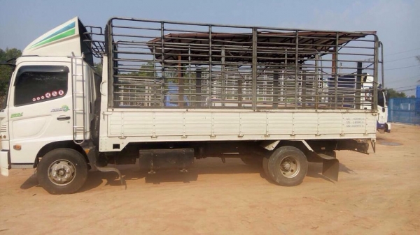 ขายด่วน HINO เมก้า175แรง ยาว5.50 ปี54