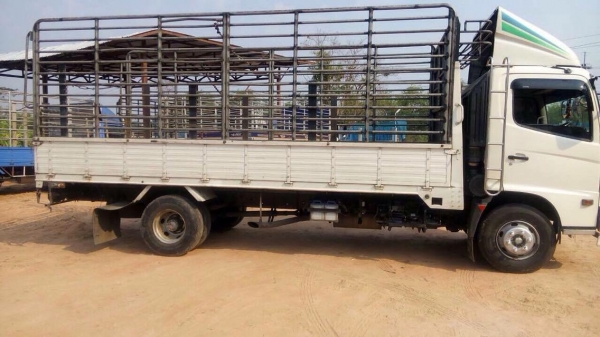 ขายด่วน HINO เมก้า175แรง ยาว5.50 ปี54