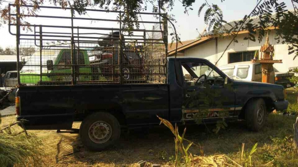 ขาย ไซโคลนพร้อมใช้ ปี 36 ขาย ไซโคลนพร้อมใช้ ปี 36