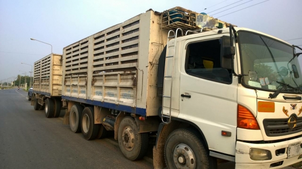 ขายรถพ่วง 20 ล้อ แม่-ลูก กระบะเหล็กคอกเกษตรไม่ดั้ม HINO 260 ปี.47 รถใช้งานอยู่ ราคา 1550000 สนใจนัดดูรถล่วงหน้า ขายรถพ่วง 20 ล้อ แม่-ลูก กระบะเหล็กคอกเกษตรไม่ดั้ม HINO 260 ปี.47 รถใช้งานอยู่ ราคา 1550000 สนใจนัดดูรถล่วงหน้า