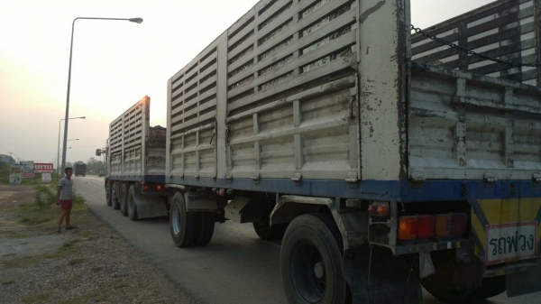 ขายรถพ่วง 20 ล้อ แม่-ลูก กระบะเหล็กคอกเกษตรไม่ดั้ม HINO 260 ปี.47 รถใช้งานอยู่ ราคา 1550000 สนใจนัดดูรถล่วงหน้า ขายรถพ่วง 20 ล้อ แม่-ลูก กระบะเหล็กคอกเกษตรไม่ดั้ม HINO 260 ปี.47 รถใช้งานอยู่ ราคา 1550000 สนใจนัดดูรถล่วงหน้า