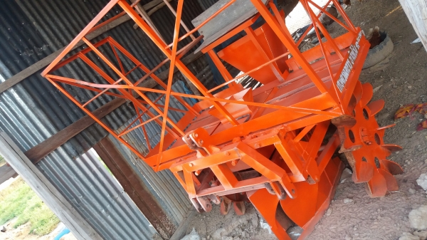 หางปลูกอ้อยkk