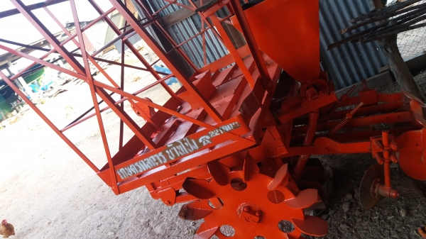 หางปลูกอ้อยkk