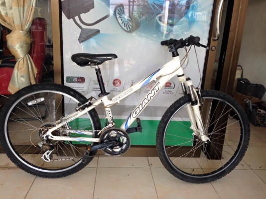 Giant Rock 4500 size 12.5'