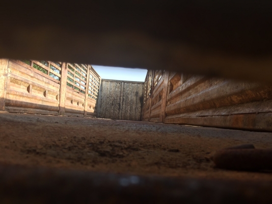 หางเทเลอร์คอกรั้วสูง...ยกล้อได้ PT. พานทอง ปี50 3คานแท้ๆยาว12ม.เล่มพร้อม