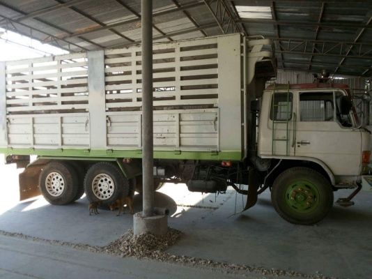 ขายรถ10ล้อ ดั้ม2เพลา เครื่อง195แรง พ.เพาเวอร์ เบรกทิฟฟี่ เครื่องดีแคชซีสวย เอกสารพร้อมโอน สนใจโทร 090-8588220คุณนะ 093-3258446คุณบิว หรือเข้าดูสินค้าอื่นๆได้ที่ www.truck.in.th/498 หรือเพจFacebook ณรงค์ ซื้อขายรถมือสอง (เว็บไซต์ส่วนตัว) หรือFacebook คุณนะ