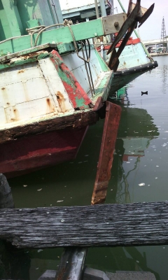 ขายเรือประมง อวนดำ