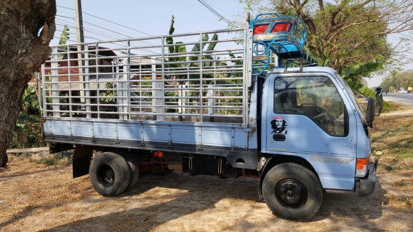 ขาย 6 ล้อ ISUZU NPR66LX5 S เครื่อง 4HF1 120 ฝาดำ คัสซีสวยตลอดเส้น ทะเบียนพร้อมโอน ขาย 6 ล้อ ISUZU NPR66LX5 S เครื่อง 4HF1 120 ฝาดำ คัสซีสวยตลอดเส้น ทะเบียนพร้อมโอน